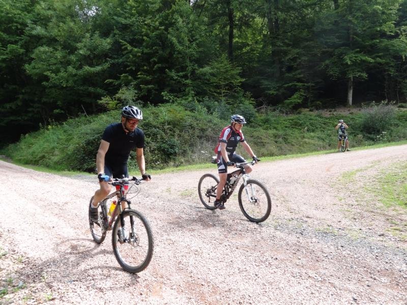 BOSTAL_SPORTTAG_2014_02569