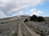 Provence_2014_MJ_02409