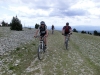 Provenve_2014_MB_8281
