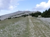Provenve_2014_MB_8284