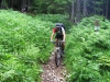 ta_2013_cs_100_2089