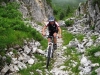 ta_2013_jk_2747