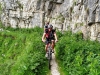 ta_2013_mj_02044